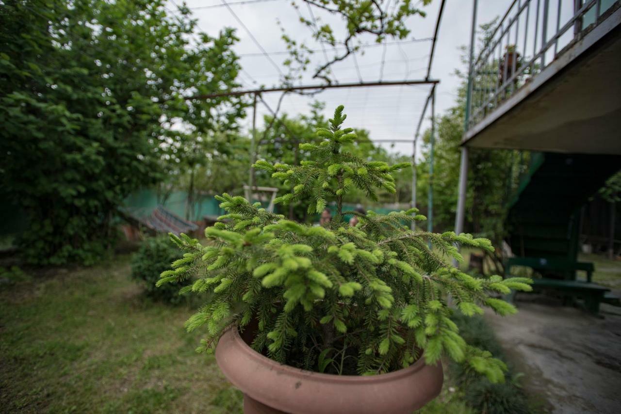 Zandukeli Inn Telavi Extérieur photo